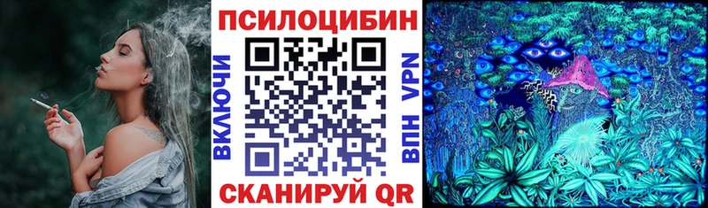 сколько стоит Усть-Катав Псилоцибиновые грибы мицелий
